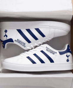 Tottenham Hotspur 4 Skate New Shoes L98